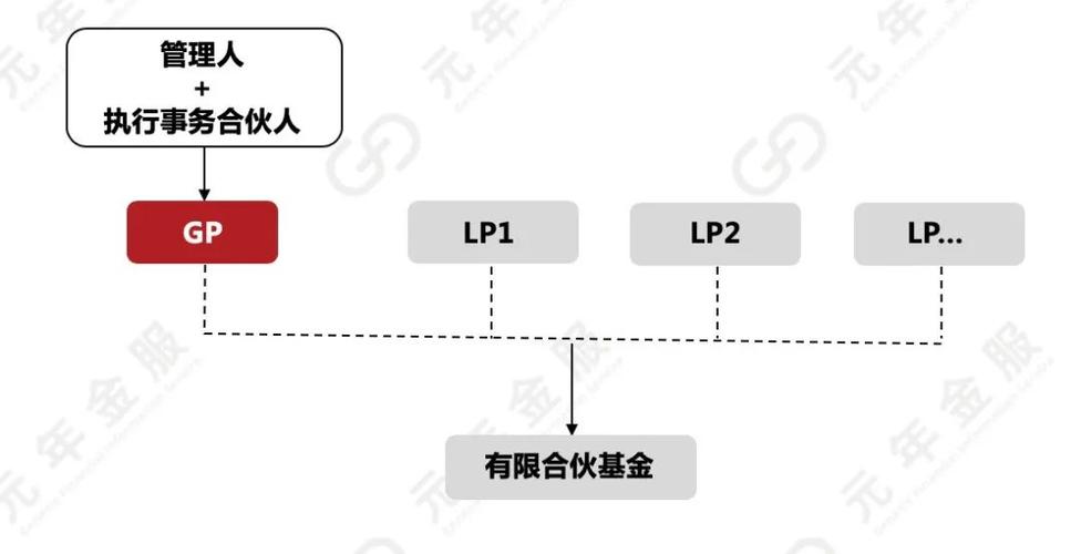 基金中的lp和gp
