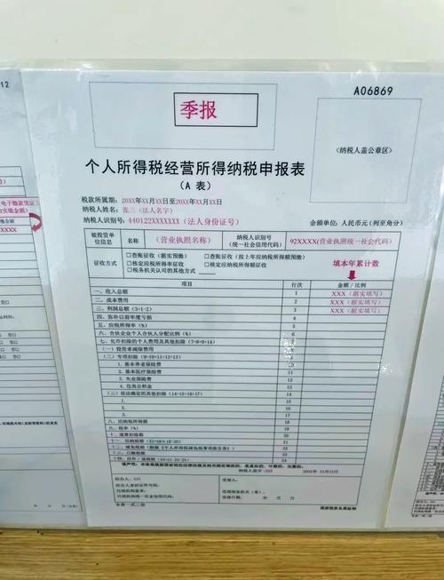 2025年1月税务申报