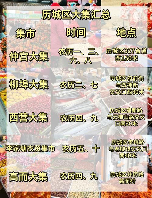 山东市场主体信息查询