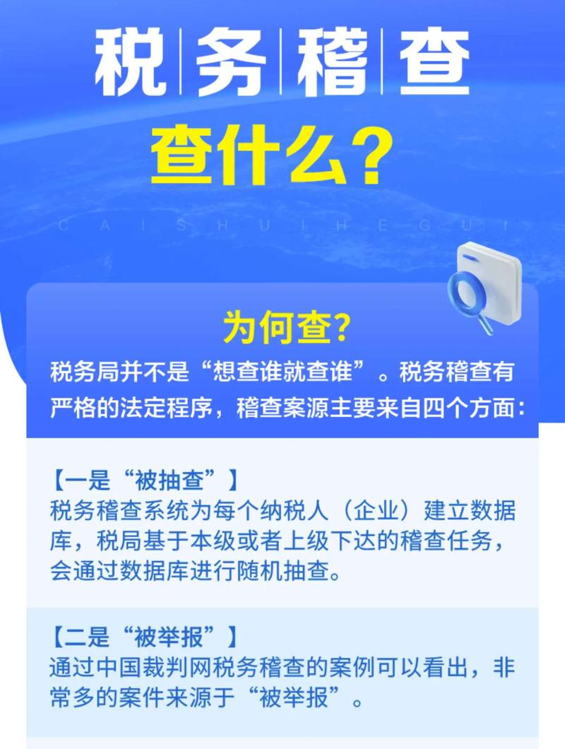 2025 全国税务稽查