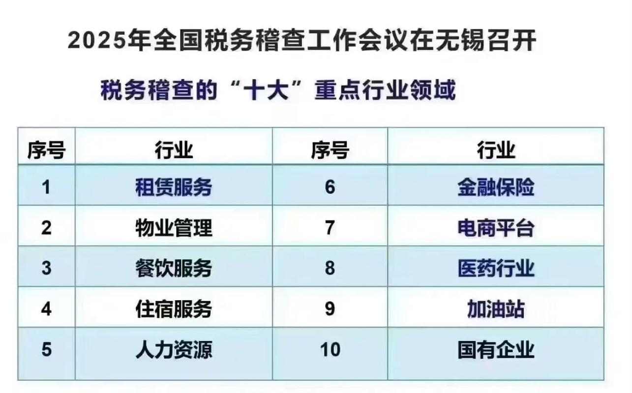 2025 全国税务稽查