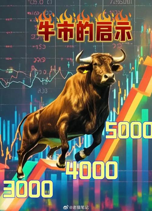 牛市应该买什么基金