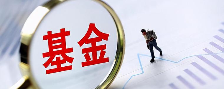 中银中证100基金