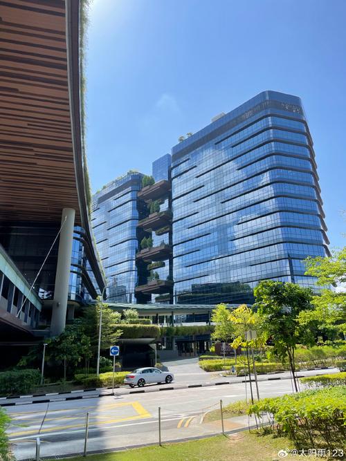 新加坡华平基金公司