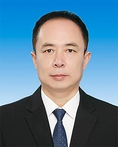 国家税务总局局长 王军