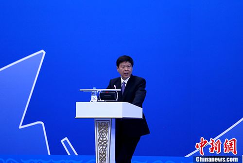 国家税务总局局长 王军