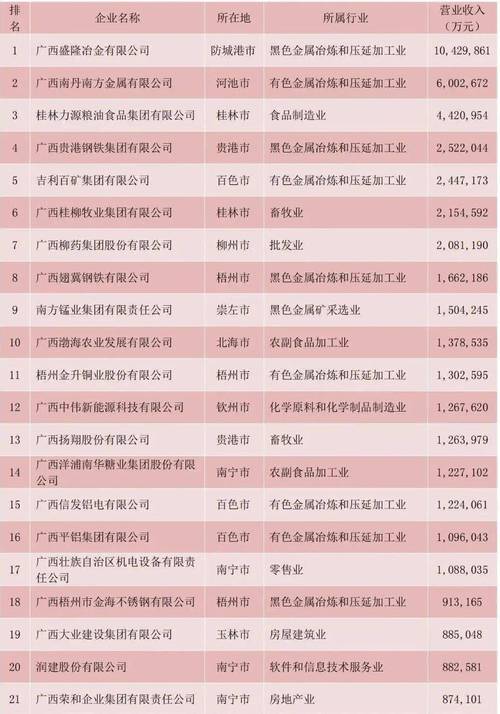 广西工商网企业查询网