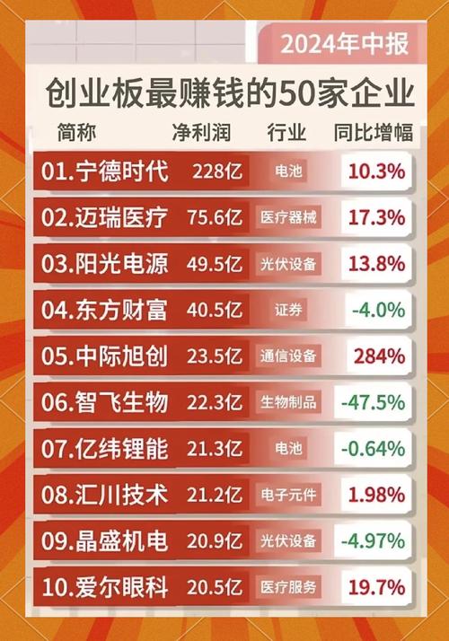 创业板基金代表什么