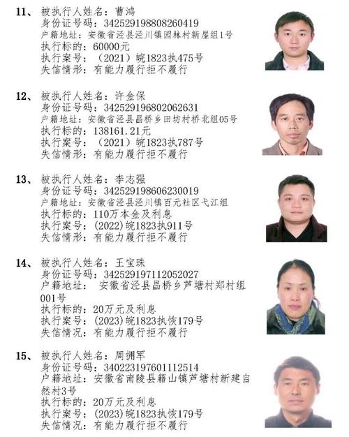 被执行人黑名信息查询