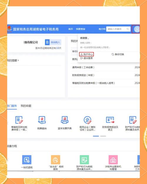 福建税务局网上办税系统