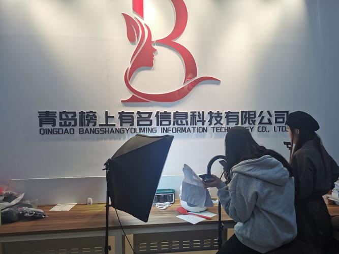 青岛企业信息查询官网