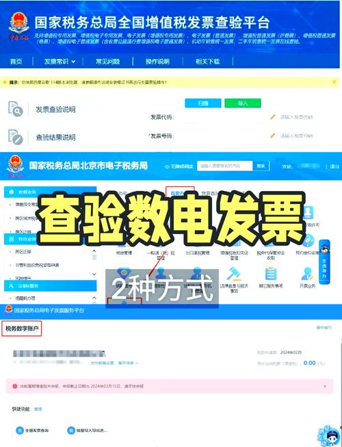 成都地方税务局发票查询