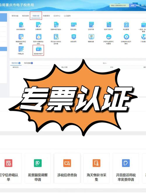 成都地方税务局发票查询
