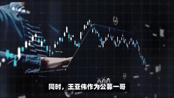 王亚伟的基金是什么