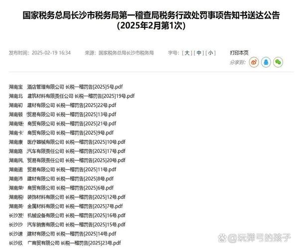 税务2025年 处罚