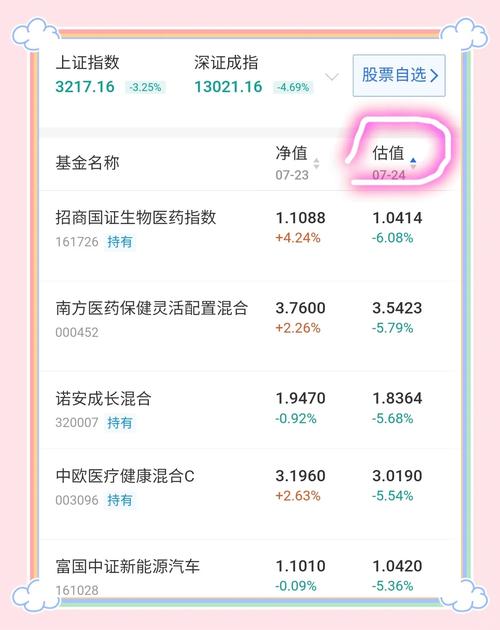 证券投资基金估值表