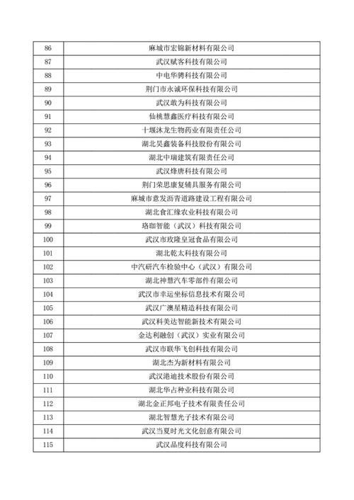 国家企业信息 湖北