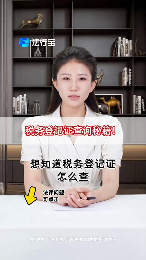 四川省税务局税务登记