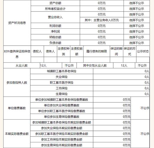 企业年报信息公示查询