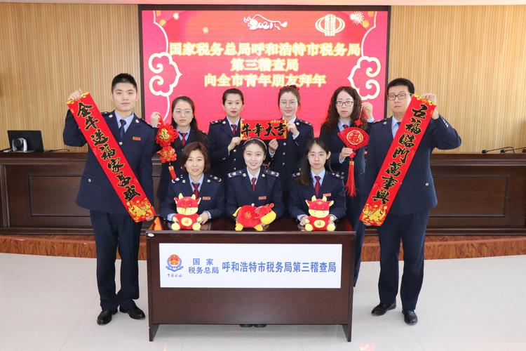 税务总局内蒙古税务局