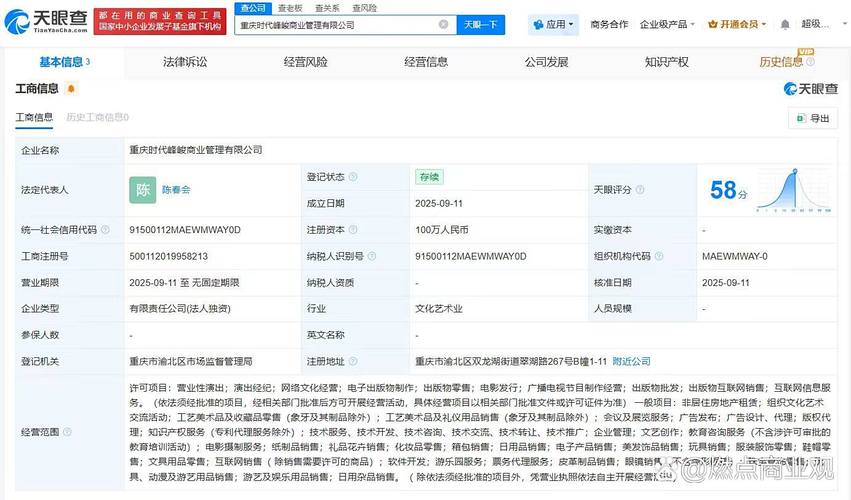 工商信息查询网官重庆