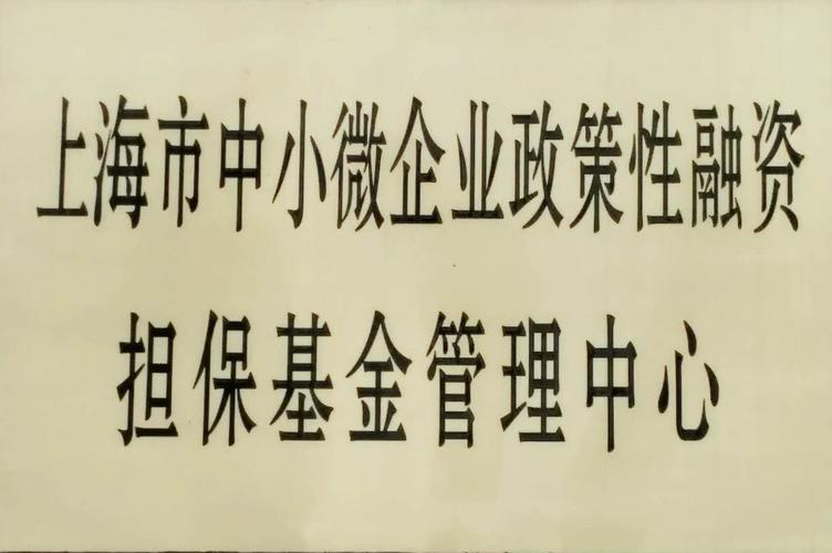 担保基金是什么意思