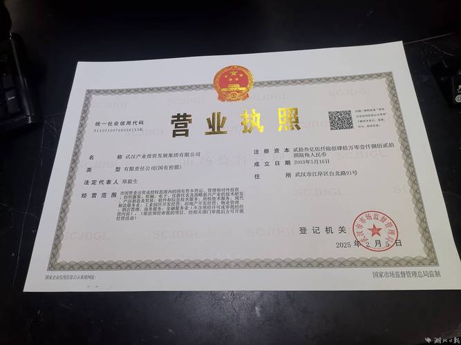 统一企业执照信息查询