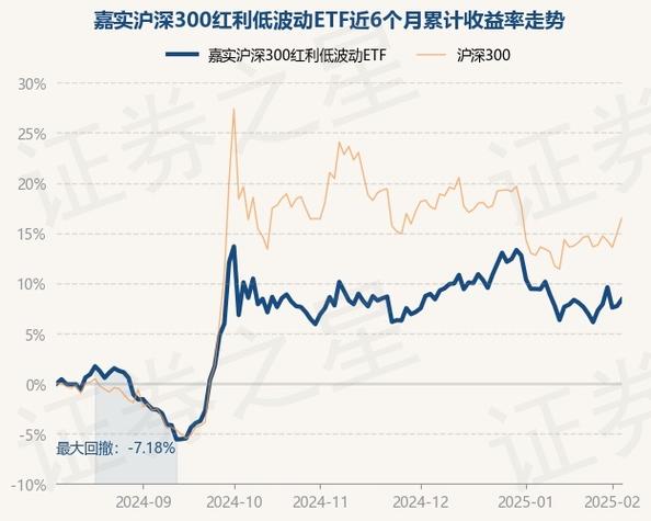 嘉实新消费股票基金