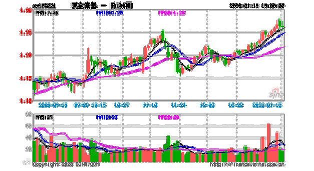 嘉实新消费股票基金
