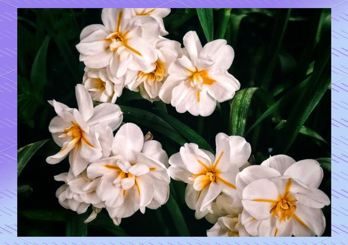 国家工商信息查询河北