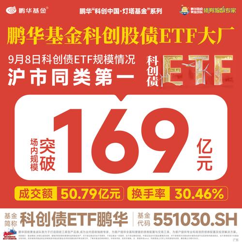 鹏华价值天天基金网