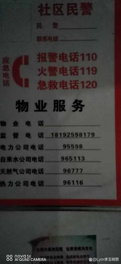 企业公示信息留电话