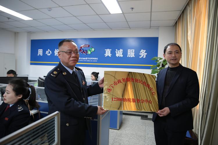 12366 税务稽查