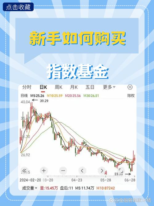 如何买基金新手入门