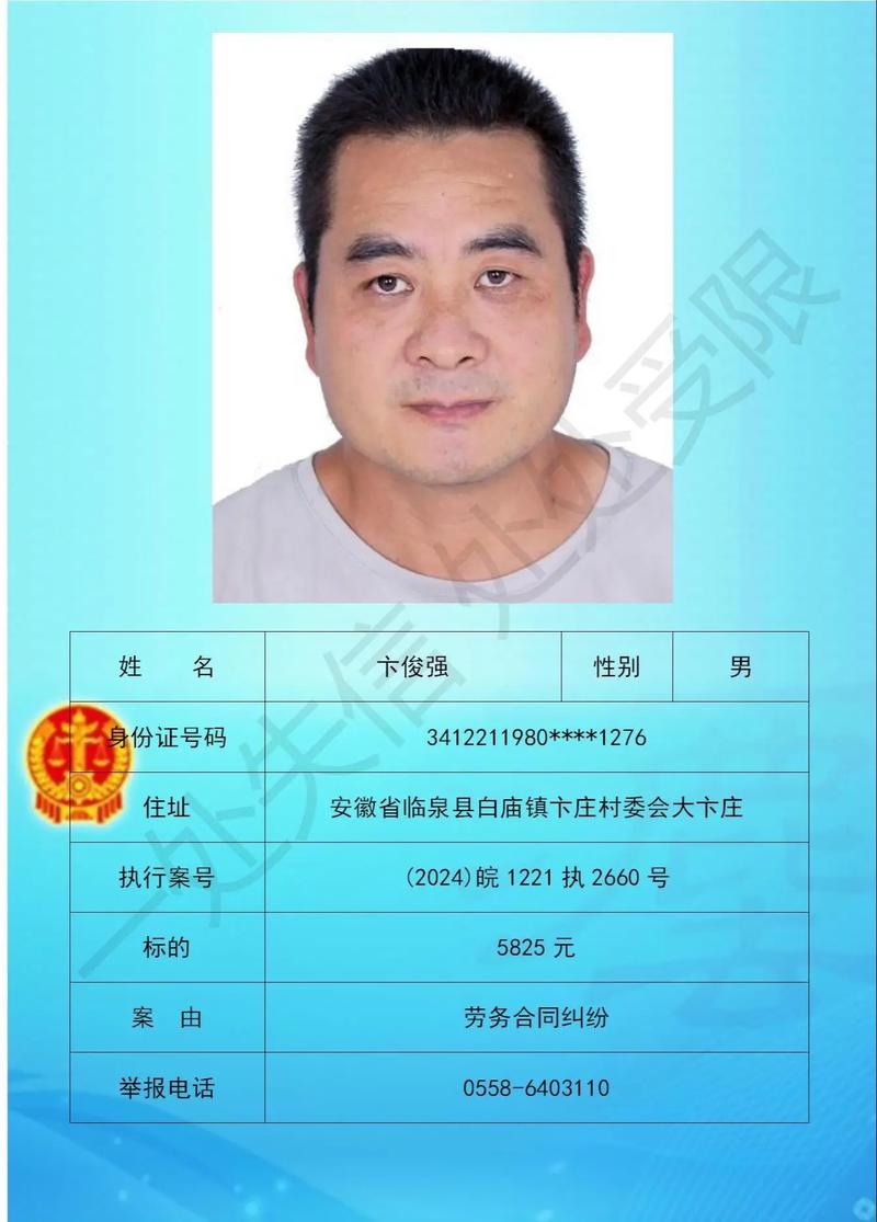 有限公司失信信息查询