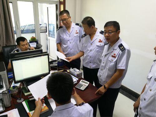 国家税务总局税务检查