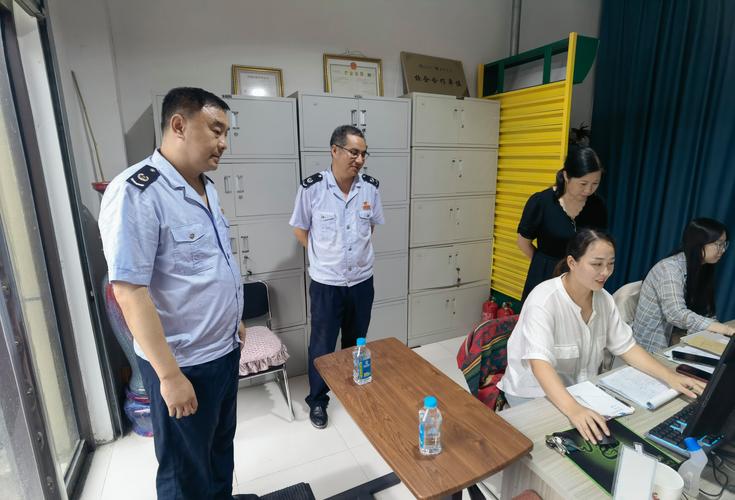 国家税务总局税务检查