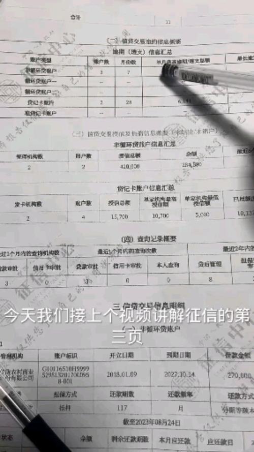 上海 企业征信报告