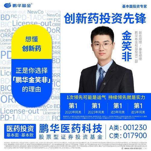 鹏华美国房地产基金